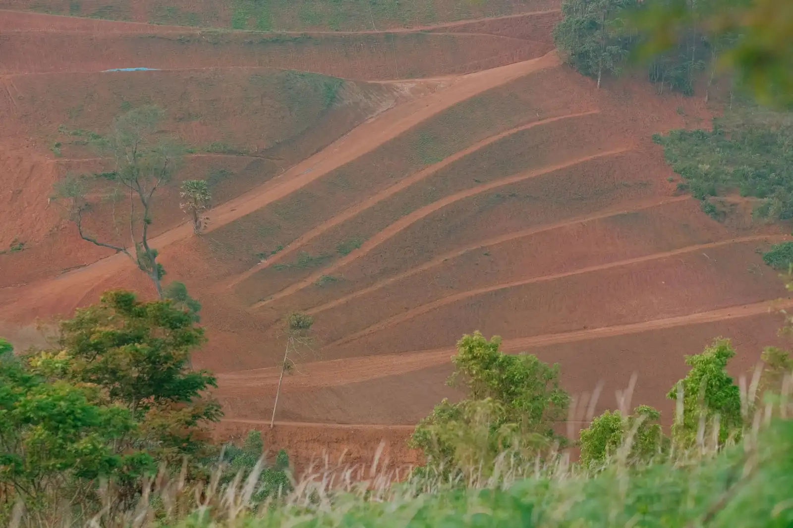 绍兴非遗研学基地体验项目：手工艺体验如何融入文旅融合课程设计