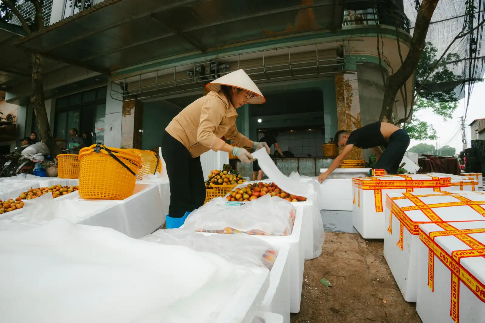 绍兴非遗手工艺体验基地如何打造沉浸式研学项目——以循道文化文旅融合实践为例
